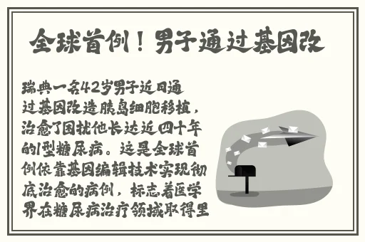 国产69精品久久久久麻豆